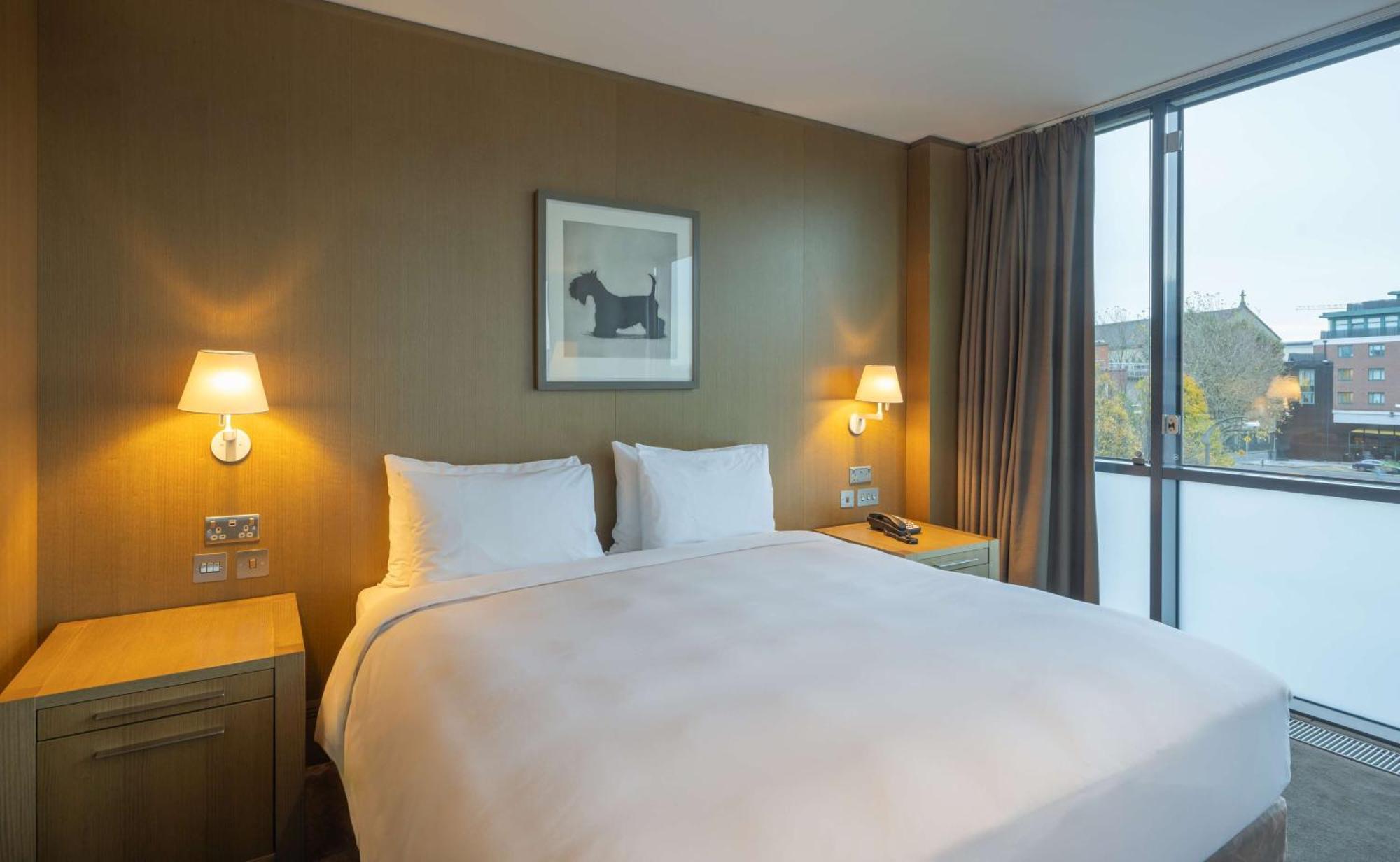 Radisson Blu Royal Hotel Dublin Luaran gambar